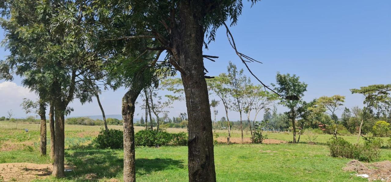 Le Tai Village Resort Near Solio Game Reserve Mweiga Exterior photo